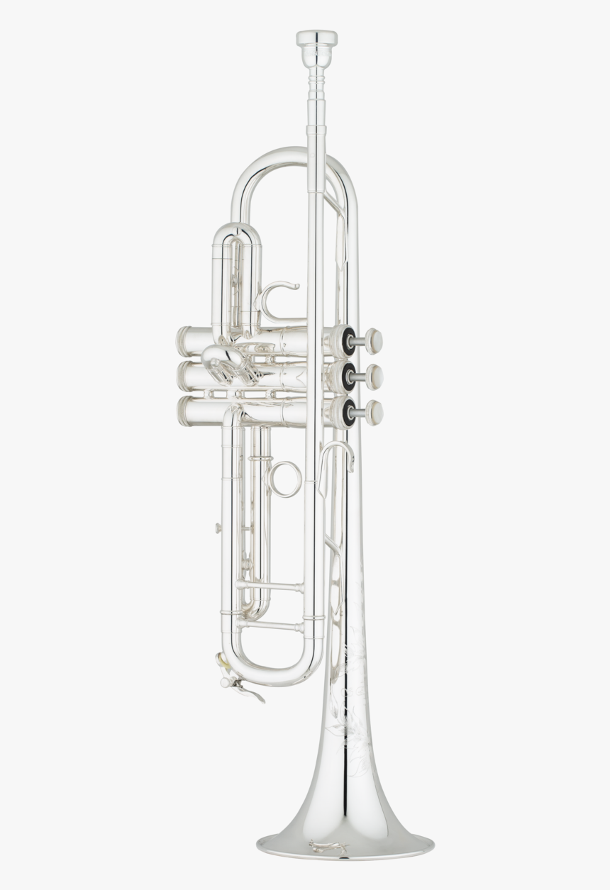 Q10s, HD Png Download