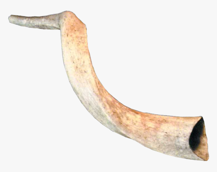 Wood, HD Png Download