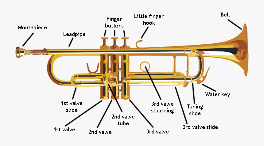All The Parts Of A Trumpet, HD Png Download