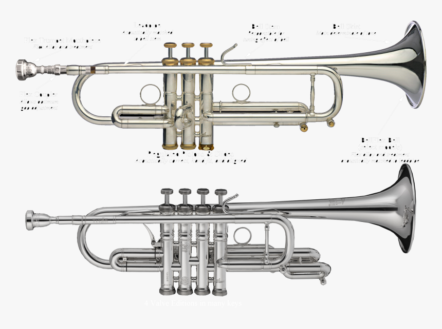 Trumpet, HD Png Download