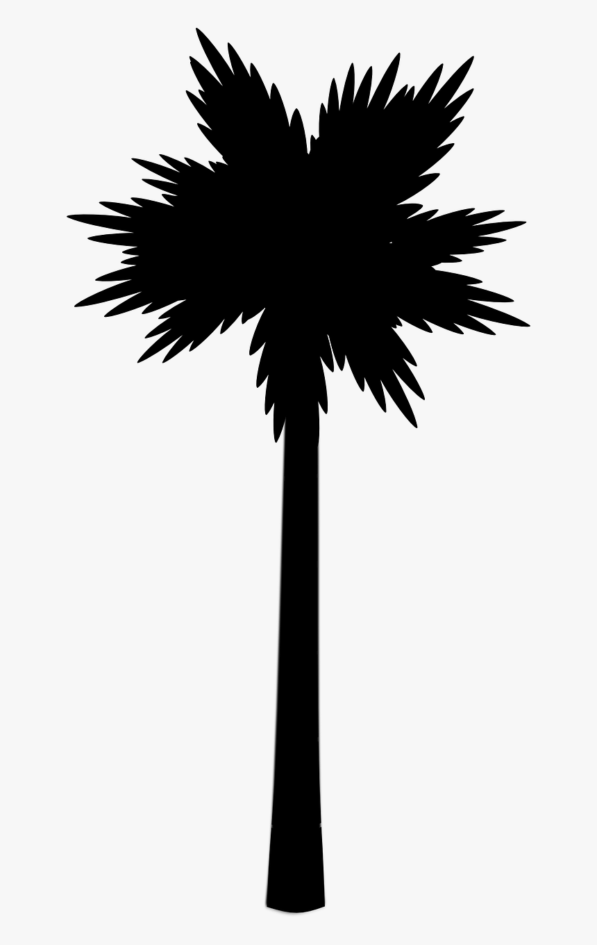 Transparent Beach Silhouette Png - Palm Tree Png Vector, Png Download