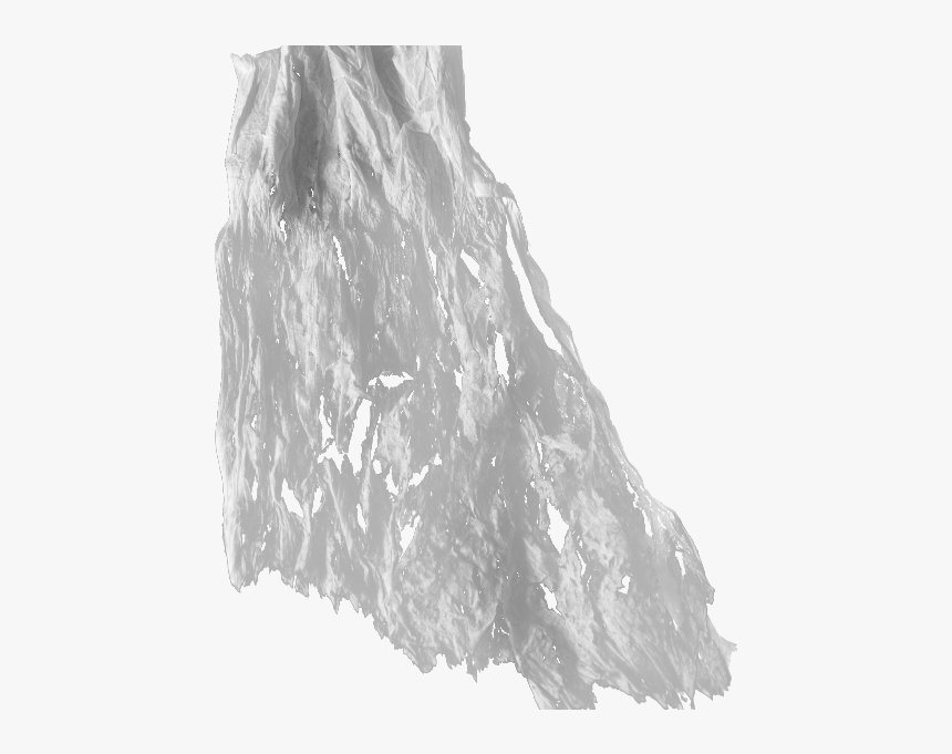 Torn Curtain Ghost Png - Torn Curtain Png, Transparent Png