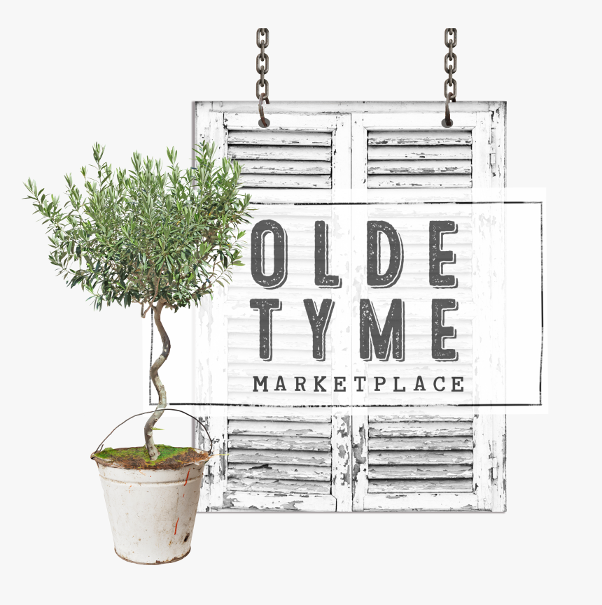 Tattered, Torn, And Rusty Battered, Worn And Dusty - Houseplant, HD Png Download