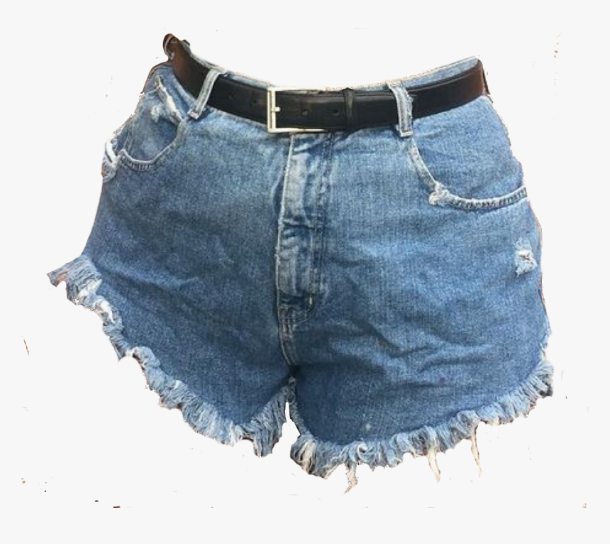 Plus Size Shorts With Fishnet, HD Png Download