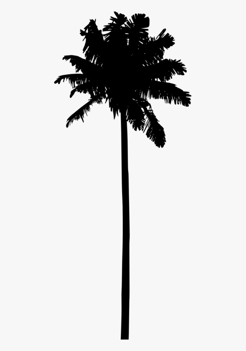 Palm Tree Silhouette Png - Hd Palm Tree Silhouette, Transparent Png