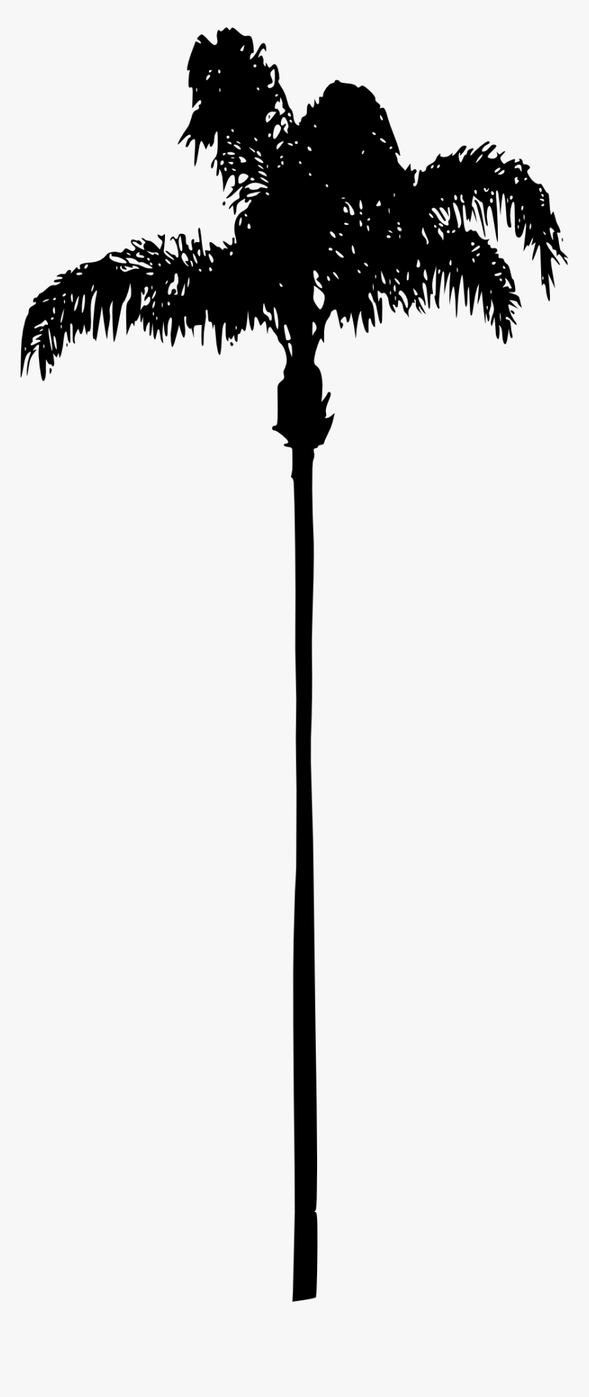 Palm Tree - Silhouet Palm Tree Png, Transparent Png