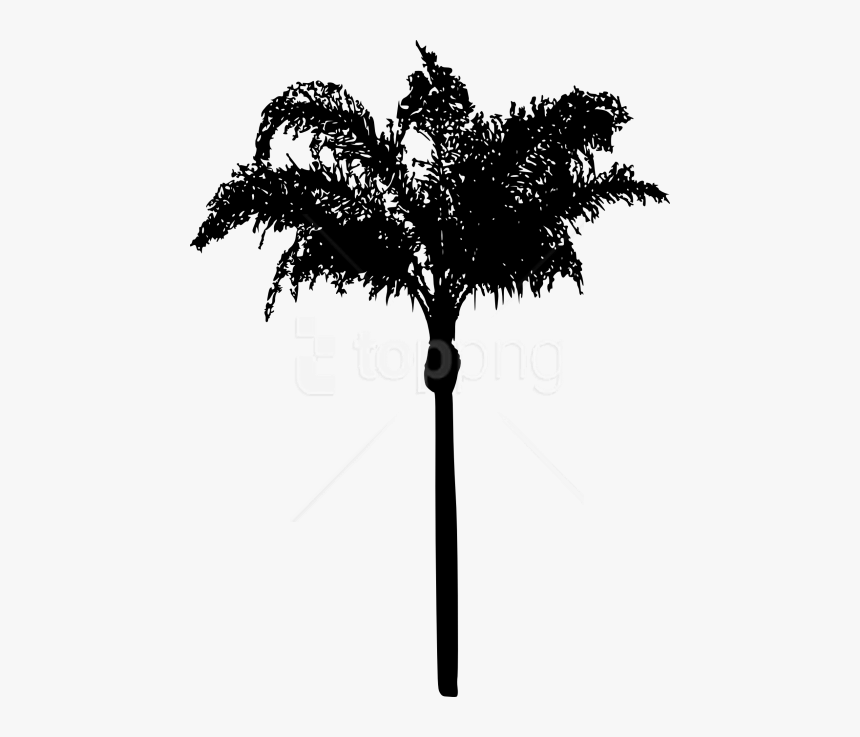Free Png Palm Tree Png - Palm Tree Leaves Silhouette Png, Transparent Png
