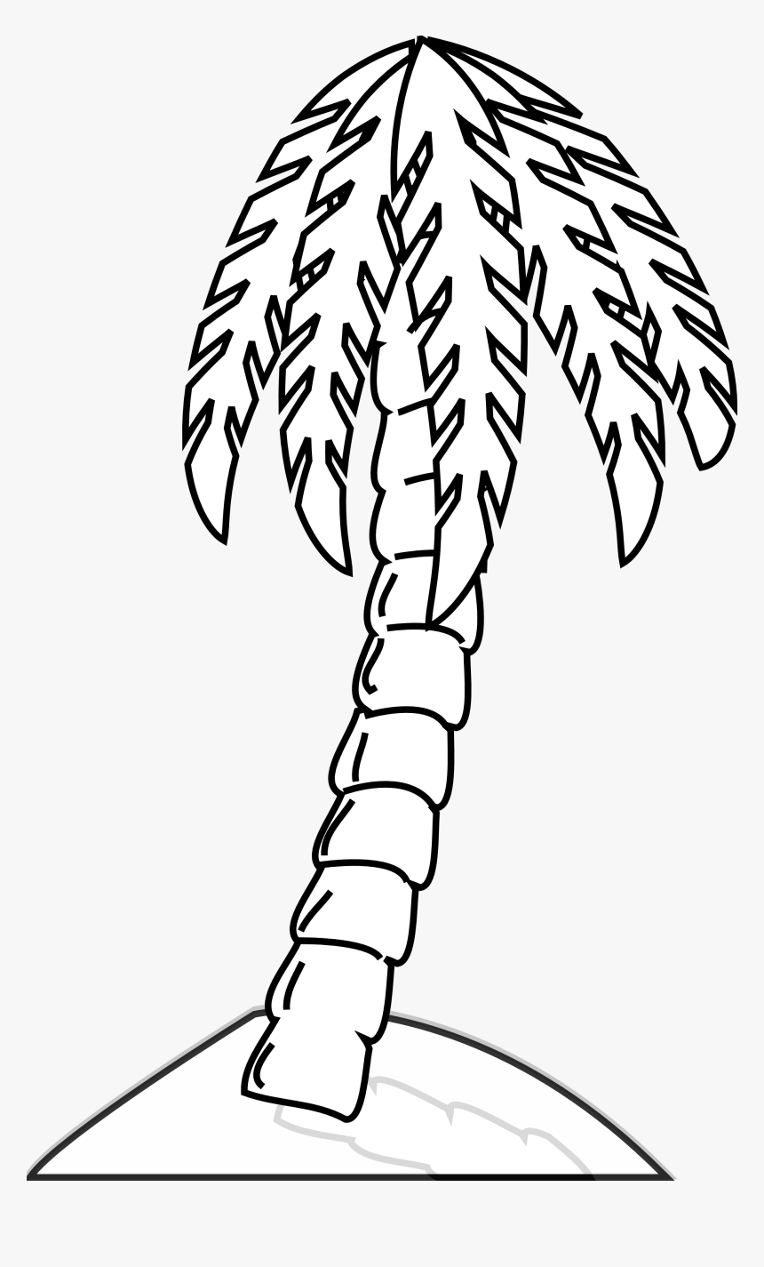 Panda Free Images - Palm Tree Black And White Clipart Png, Transparent Png