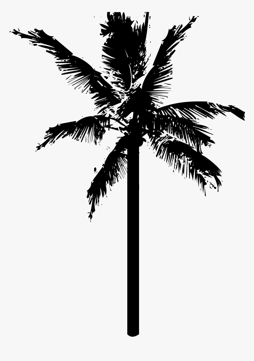 White Palm Tree Png - Coconut Tree Vector Transparent, Png Download