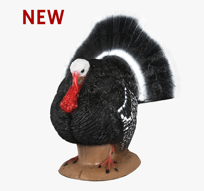 Turkey Archery Target - Turkey, HD Png Download