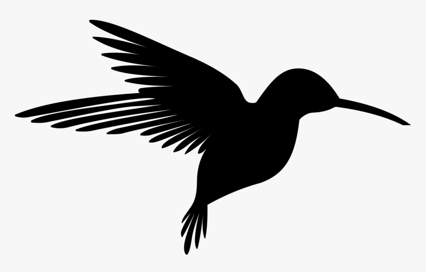 Animal, Bird, Flying, Hummingbird, Silhouette, Svg - Silhouette Hummingbird Clipart, HD Png Download