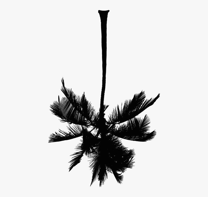 White Palm Tree Png , Png Download - Palm Tree Clip Art, Transparent ...