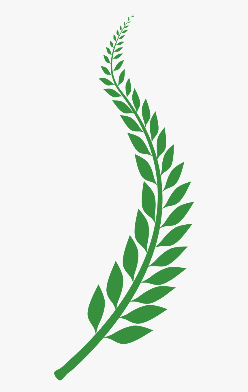 Transparent Background Leaf Wreath Png, Png Download