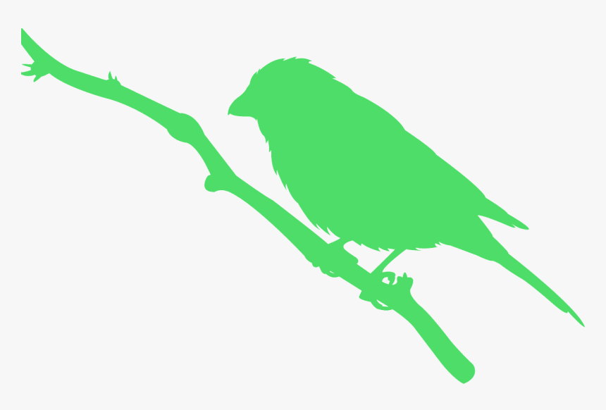 Parakeet, HD Png Download