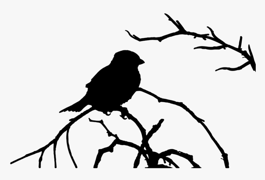 The Sparrow, Bird, The Silhouette, Graphics, Vector - Bird In Tree Png, Transparent Png
