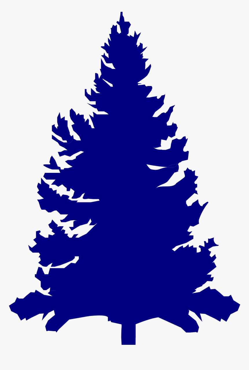 Blue Pine Clip Art, HD Png Download