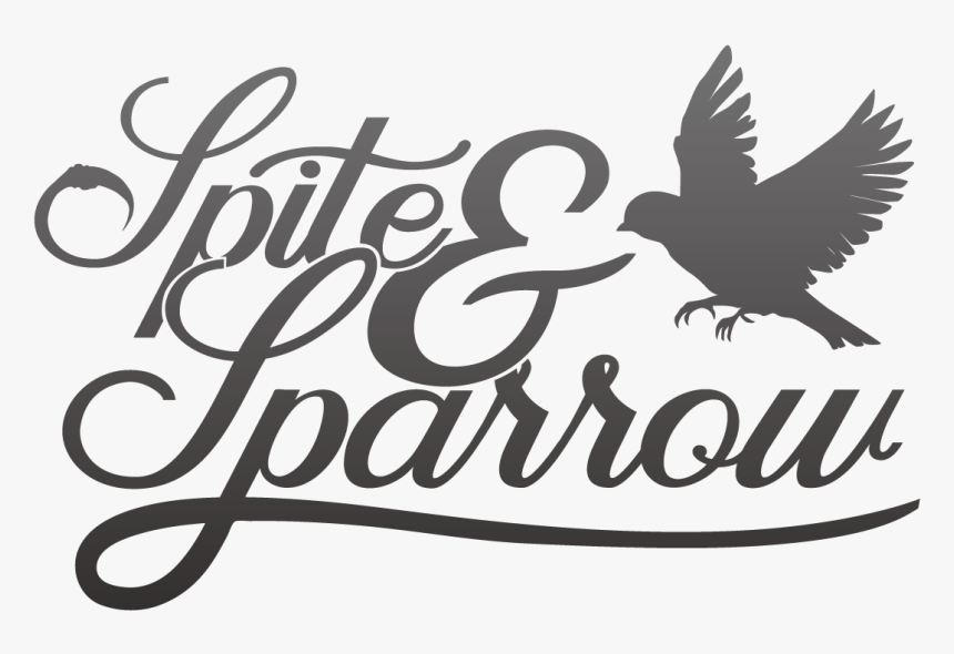 Transparent Sparrow Silhouette Png - Accipitriformes, Png Download