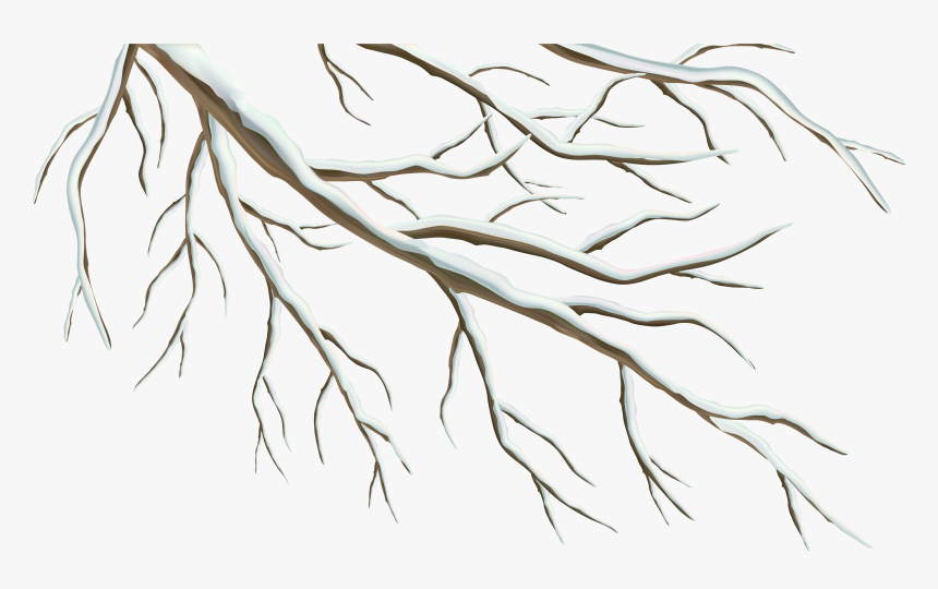 Winter Branch Png Clipart Image - Clip Art, Transparent Png