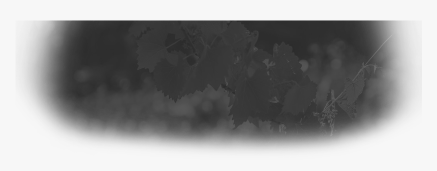 Header-background - Monochrome - Monochrome, HD Png Download