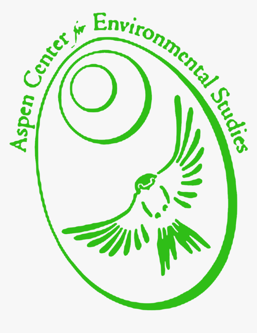 Aces Logo Vert Green - Aces Aspen, HD Png Download