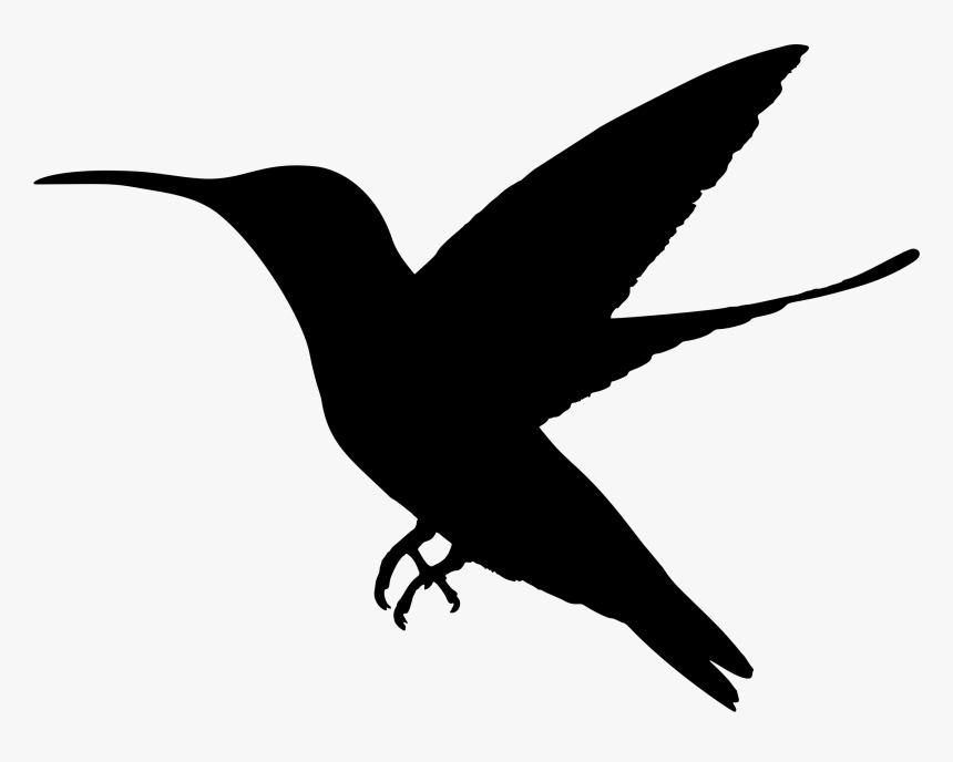 Hummingbird Silhouette Clip Art Www Pixshark Com Pigeon - Hummingbird Clipart Bird Silhouette, HD Png Download