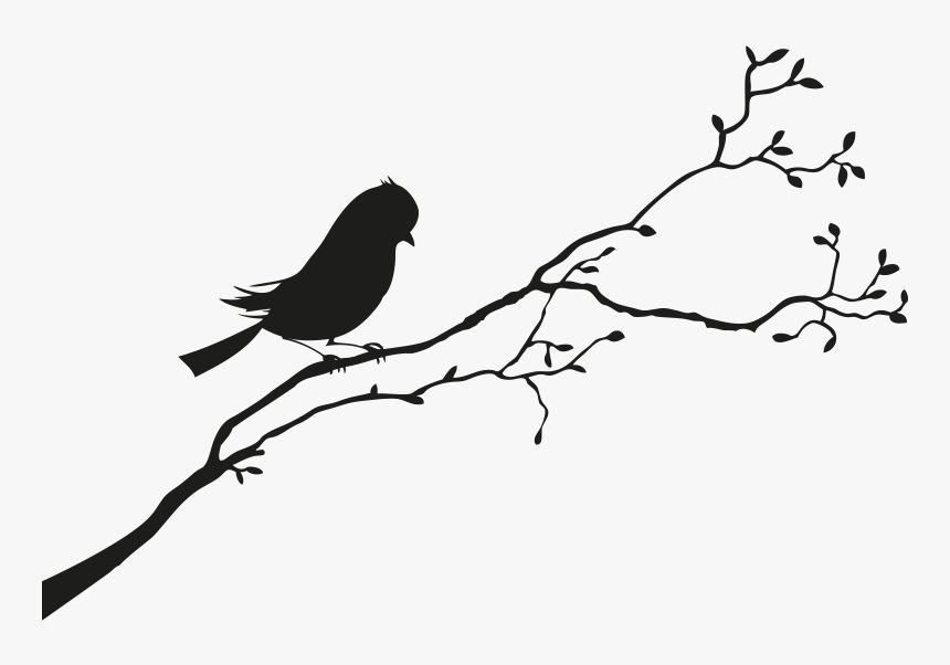 Bird Sparrow Silhouette - Black And White Bird Silhouette, HD Png Download