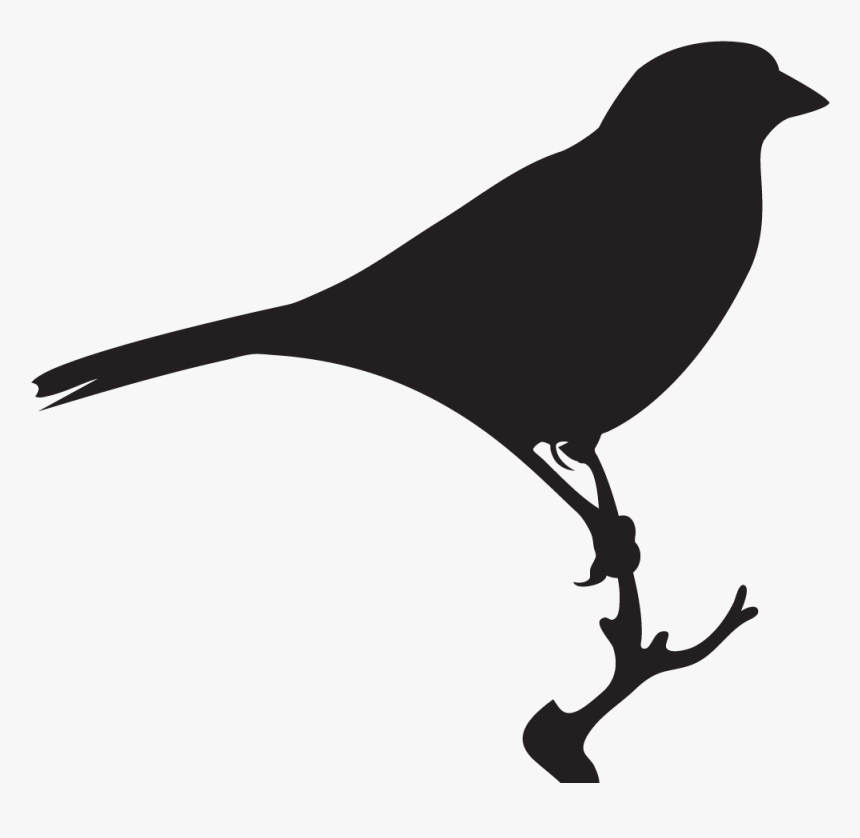 Sparrow Black And White, HD Png Download