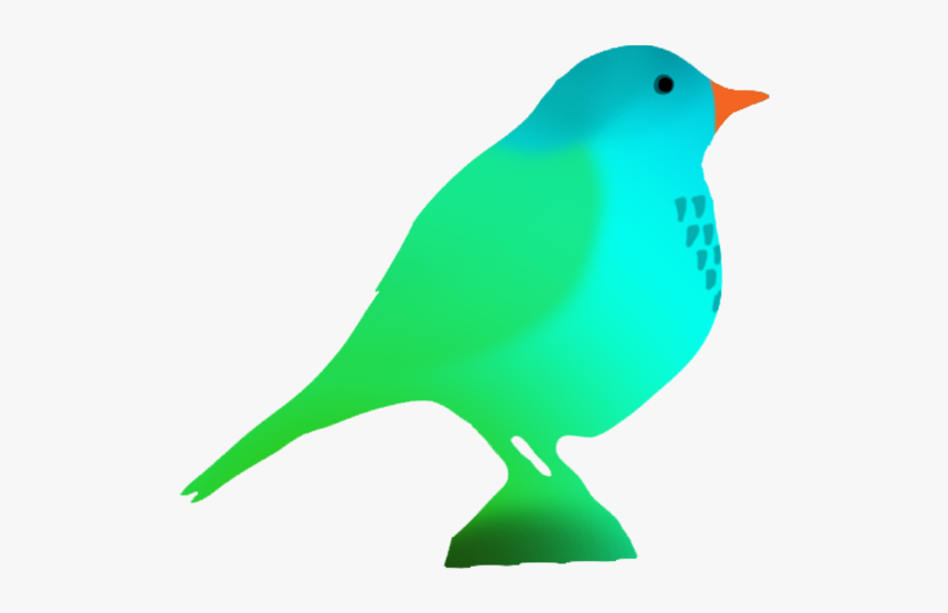 Fantasy Colored Bird Silhouette - Colorful Bird Silhouette On Transparent, HD Png Download