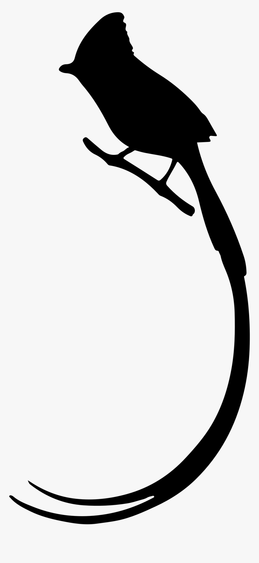 Bird Silhouette Animal - Paradise Flycatcher, HD Png Download