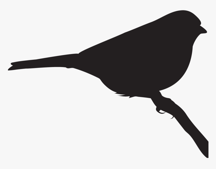Clay Birds In Flight Clipart , Png Download - Emberizidae, Transparent Png