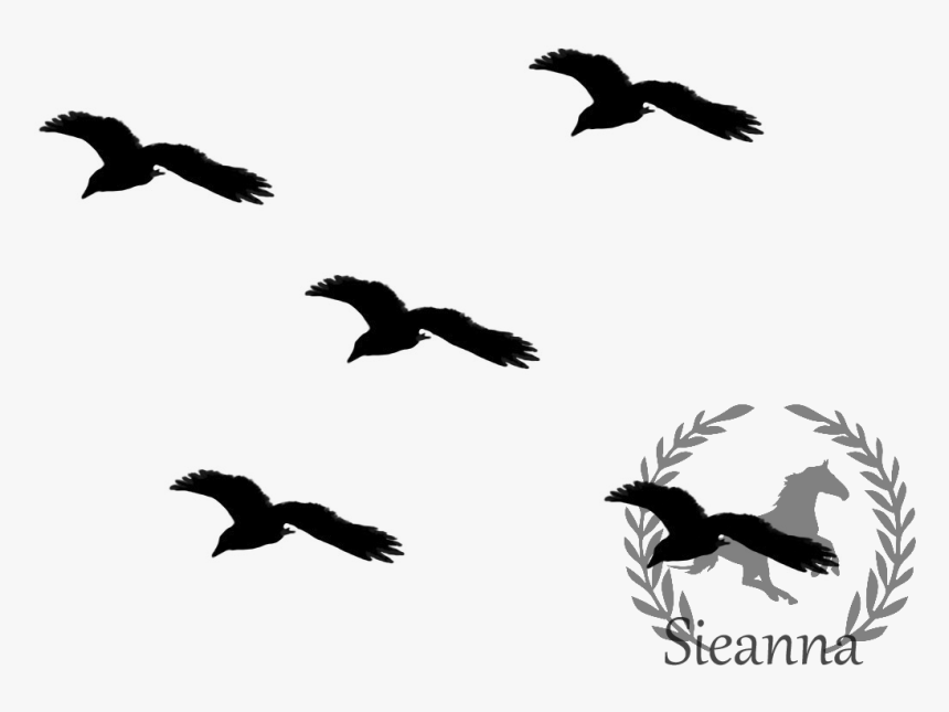 Transparent Sparrow Silhouette Png - Black Birds Clip Art, Png Download