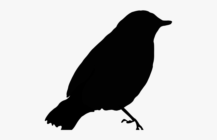 Birds Got Their Colours Story, HD Png Download