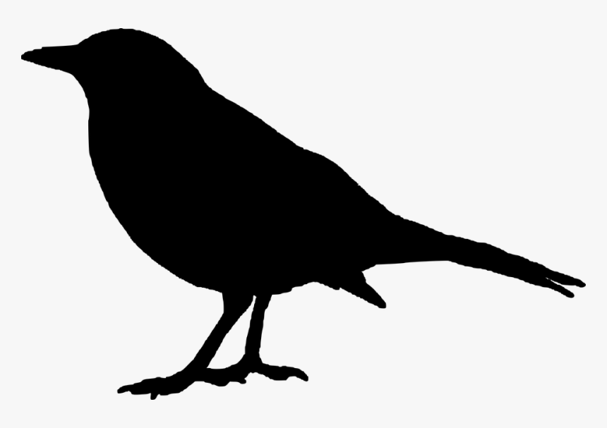 Raven Clipart, HD Png Download