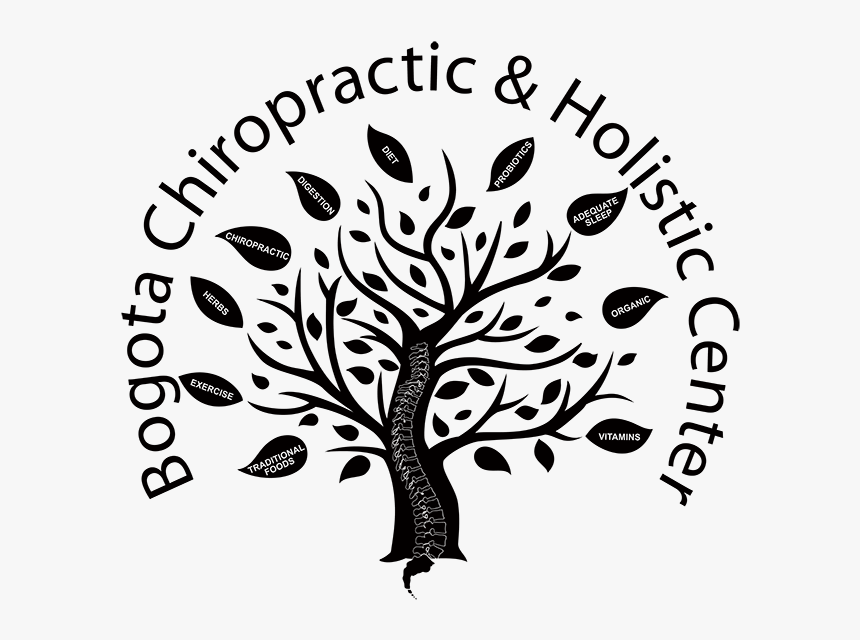 Bogota Chiropractic And Holistic Center - Illustration, HD Png Download