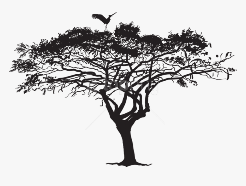 Tree Png Silhouette -free Png Exotic Tree And Bird - Wilkswood Reggae Festival 2019 Lineup, Transparent Png