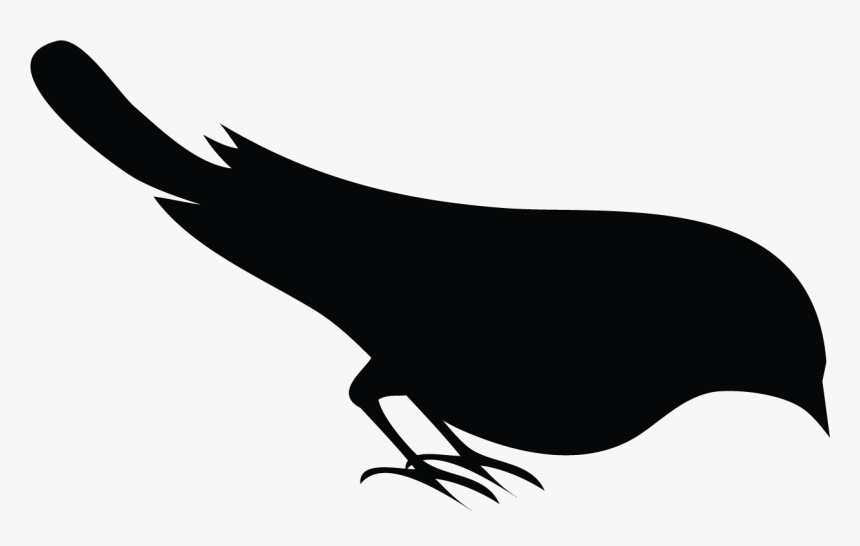 Perching Bird, HD Png Download