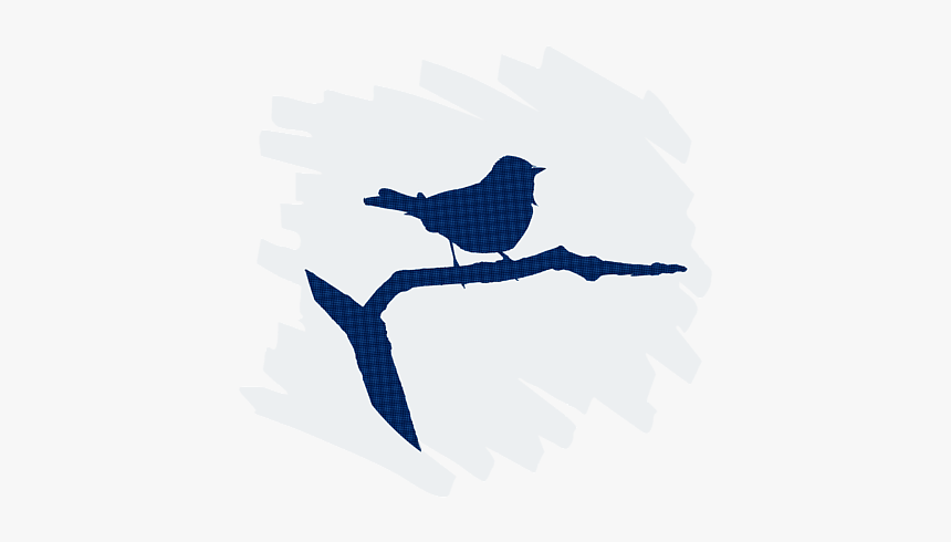 Jay, HD Png Download