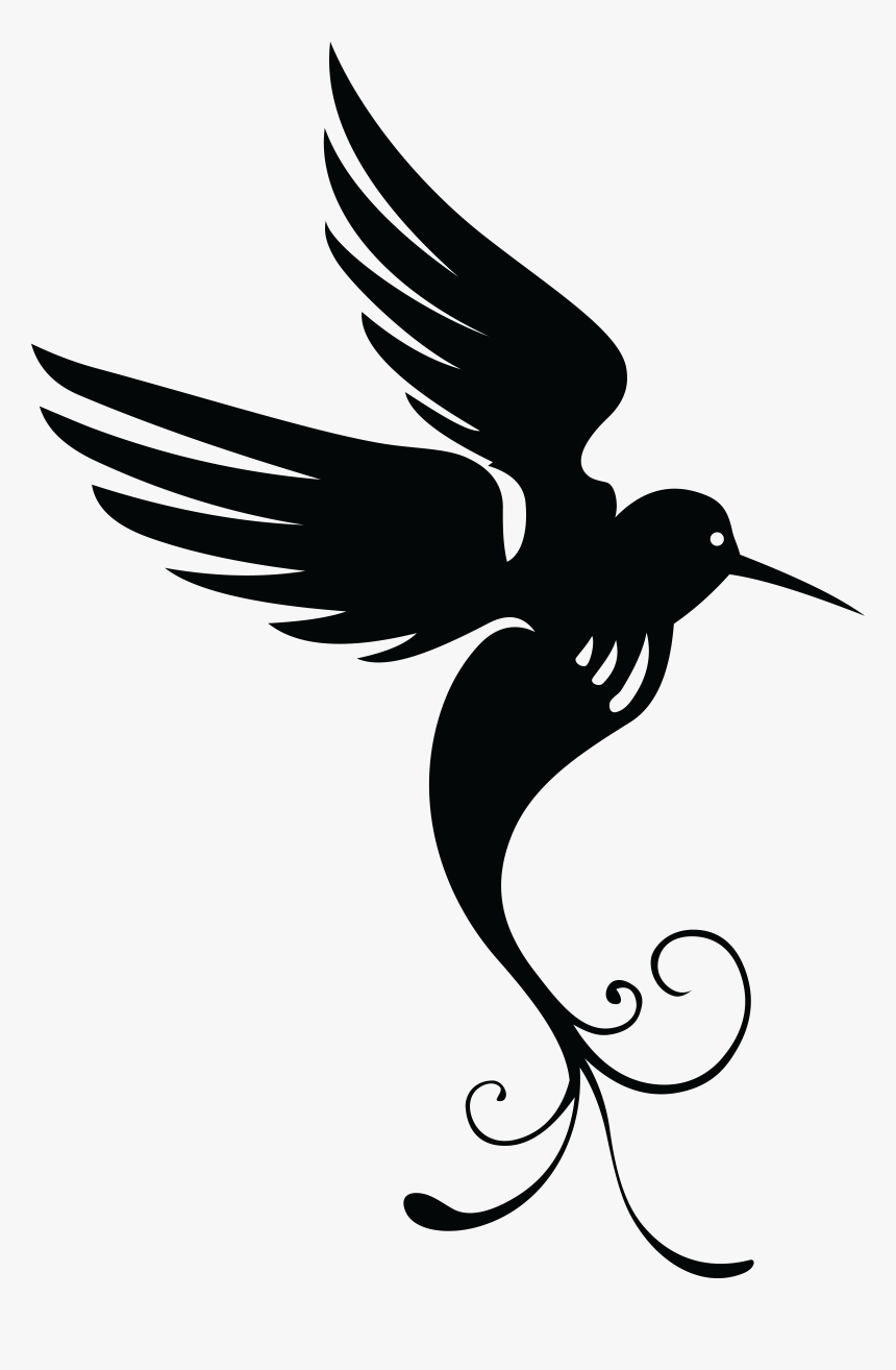 Clipart - Black And White Hummingbird Clipart, HD Png Download