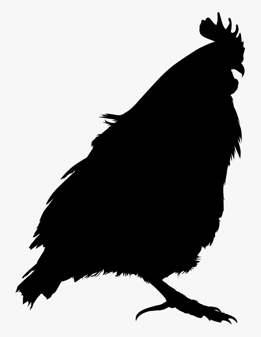 Bird Vector, HD Png Download