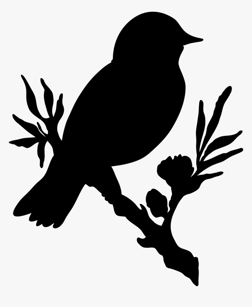 Bird Branch Flower Free Picture - Silhouette Bird On Branch, HD Png Download