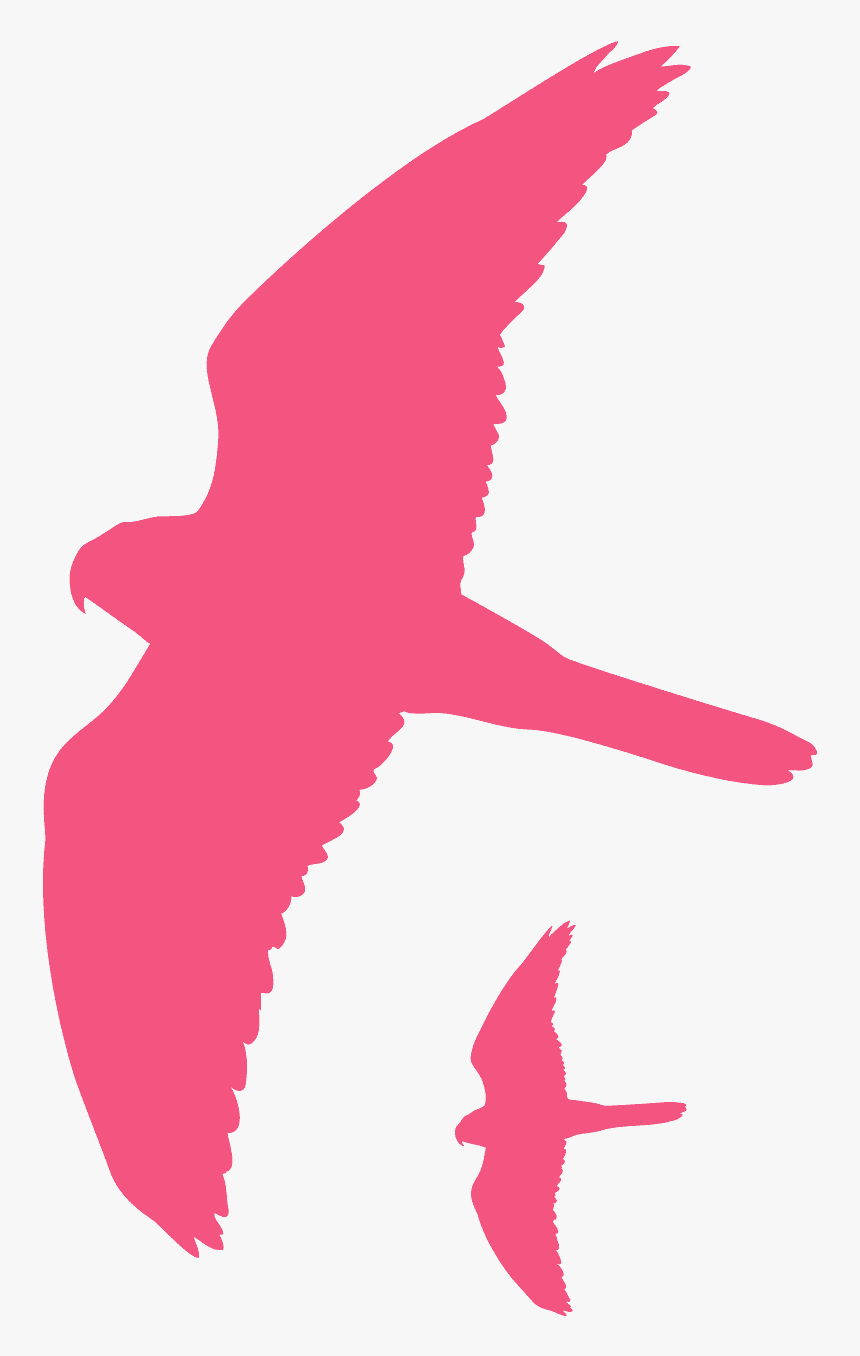 Silueta Halcon, HD Png Download