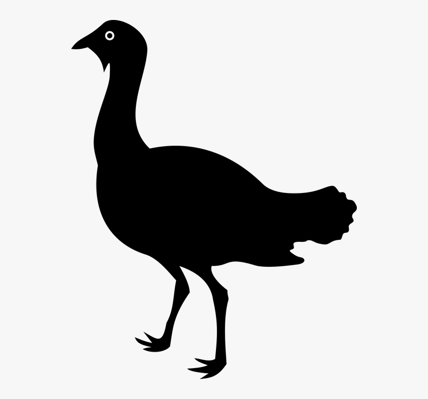 Animal, Bird, Bustard, England, Silhouette, Uk - Bustard Silhouette, HD Png Download
