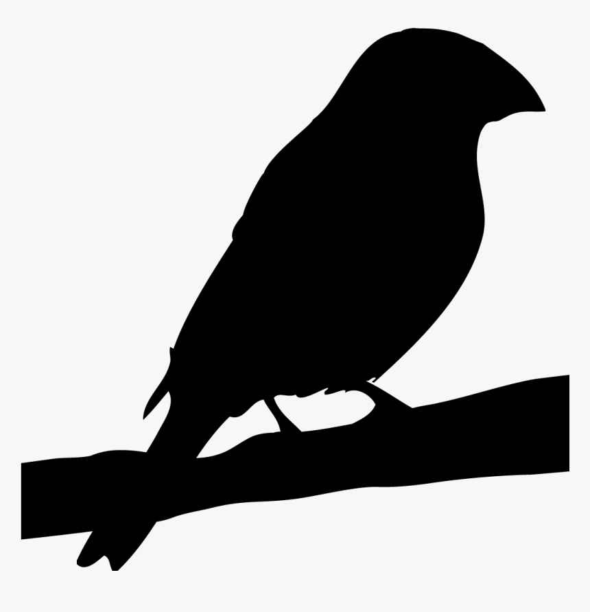 Rose Breasted Grosbeak Silhouette, HD Png Download