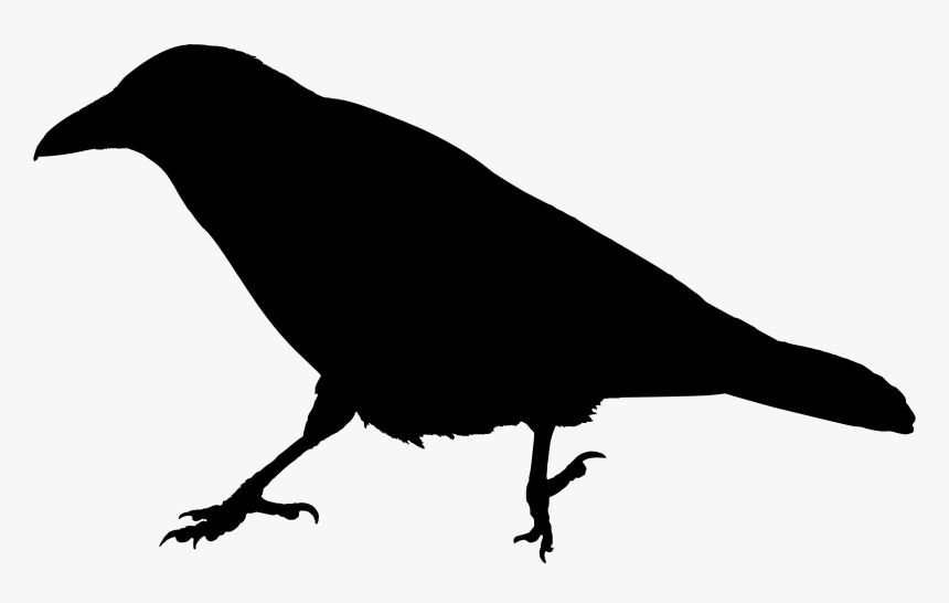 Crow Raven Animal Free Picture - Clip Art Raven Silhouette, HD Png Download
