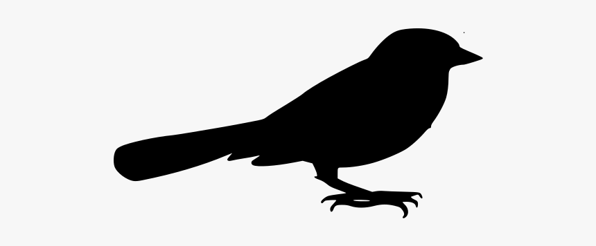 Scalable Vector Graphics, HD Png Download