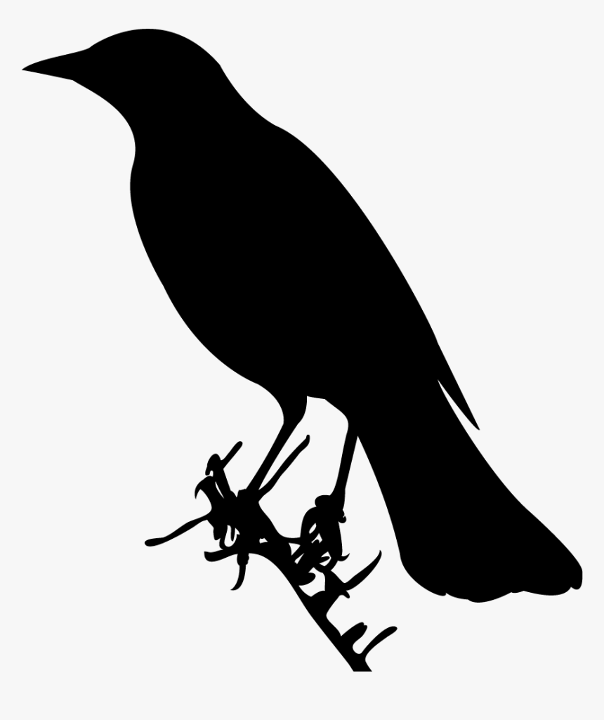 Shape Of A Bird, HD Png Download