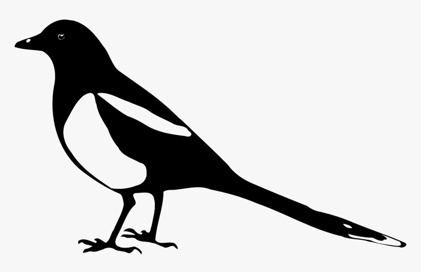 Magpie, Animal, Bird, Crow, Nature, Silhouette, Stencil - Magpie Clip Art, HD Png Download