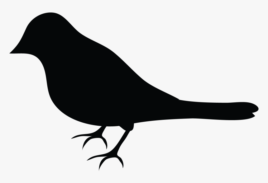 Perching Bird, HD Png Download