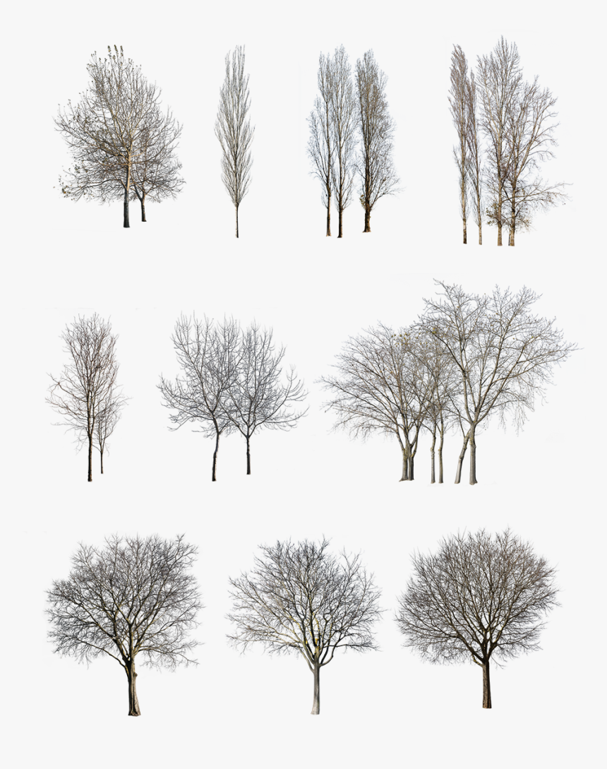 Architecture, HD Png Download