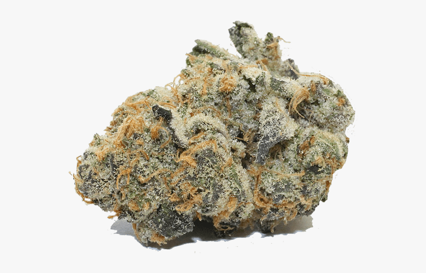 Girl Scout Cookies Sc Labs, HD Png Download